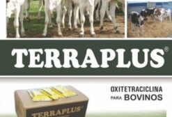 Oxitetraciclina em Pó – Terraplus em Arapongas PR