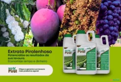 Extrato Pirolenhoso em Mogi Mirim SP