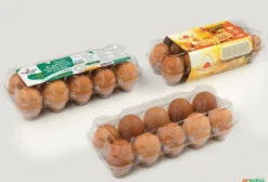 Bandeja e Tampa Plástica para 10 Ovos de Galinha - 100 Peças