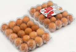 Bandeja e Tampa Plástica para 20 Ovos de Galinha - 100 Peças