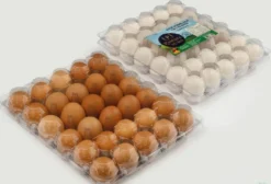 Bandeja e Tampa Plástica para 30 Ovos de Galinha - 100 Peças