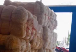 Sacaria para Embalar Frutas
