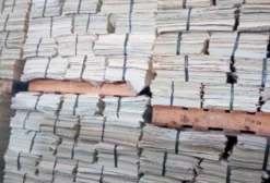 Vendo Papel Para Embalagem de Frutas em Eunápolis BA