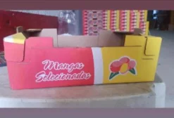 Caixas de Papelão Para Manga em Petrolina PE