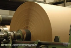 Papel Semi Kraft para Cama de Aviário – Bobinas 100% Virgens