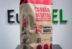 Saco Para Carvão 3Kg Personalizado 28x48x12cm - Pedido Mínimo 3 Milheiros