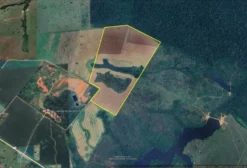 Fazenda produtiva em Rio Branco – AC à venda