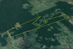 Fazenda em Rio Branco-AC à venda - 2.000 hectares para pecuária