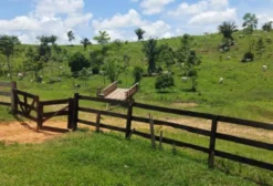 Fazenda à Venda em Manoel Urbano – AC