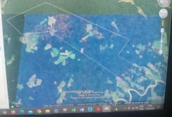 Oportunidade: Área com PMFS Aprovado (Pronta para AUTEX) - 3.700 ha - Rio Branco/AC