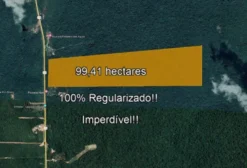 Propriedade de 99,41 ha em Presidente Figueiredo/AM Totalmente Regularizada