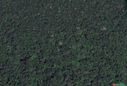 Área Para Compensação Ambiental Com ICMBio em Borba - AM