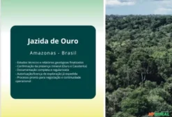 Jazida de Ouro no Amazonas em Novo Aripuanã AM à venda