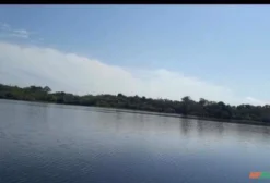 Fazenda 2.500 Hectares no Amazonas - Ideal para Crédito de Carbono e Manejo Sustentável