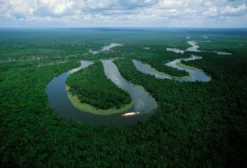 10.000 Hectares de Área para Compensação de Reserva Legal no Bioma Amazônico - Uarini/AM