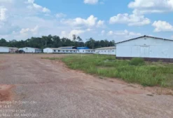 Fazenda de 800 Hectares na BR-319 em Beruri - AM
