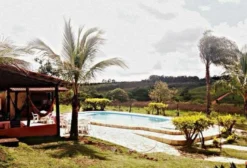 Sítio 10 Hectares Escriturado com RGI e Piscina em Brazlândia - DF