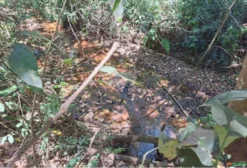 Chácara Com 6,6 Hectares em São Sebastião - DF