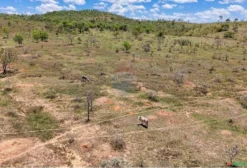 Terreno de 20.600 Metros Quadrados em São Sebastião – DF