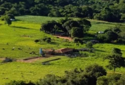 Fazenda em Brasília-DF à venda