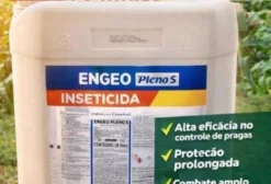 Inseticida Engeo Pleno S – Abunã (Porto Velho) RO