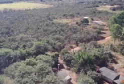 Fazenda de 30 Mil Metros Quadrados em Brasília - DF