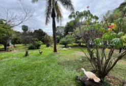 Chácara em Brasília – DF à Venda