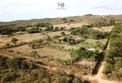 Chácara em Gama - DF à venda com 20 mil m²