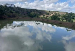 Fazenda de Alta Produção com Café e Pimenta – 34 Alqueires em Boa Esperança/ES