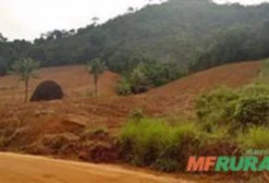 Pedreira em Santa Leopoldina – ES: Área de 5,33 ha com Potencial para Mineração de Granito