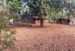 Chácara de 1 Hectare (Parte Ideal) em Cachoeira Dourada – GO | Oportunidade em Leilão