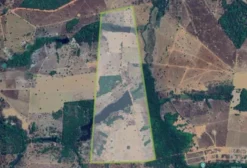 Fazenda de 97 Hectares em Porangatu, GO – Excelente Oportunidade em Leilão Judicial