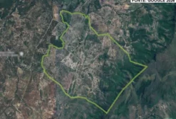 Fazenda Lavrinha - 1.413,28 Hectares em Monte Alegre de Goiás - GO