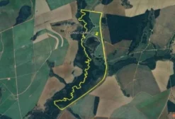 Fazenda Areado – Gleba Rural de 217,78 ha em Indiara-GO