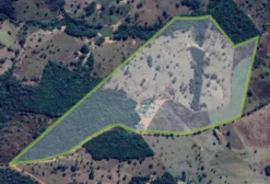 Sítio com 36 hectares em Uruana - GO à venda