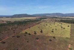 Fazenda Dupla Aptidão à Venda em Formosa, GO – 3.541 Hectares