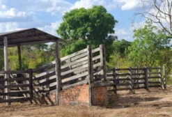 Fazenda de 212 Alqueires com Dupla Aptidão Agrícola e Pecuária em Colinas - GO