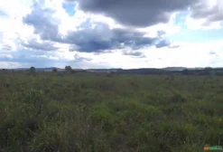 Fazenda de 350 Alqueires com Dupla Aptidão Agrícola e Pecuária em Niquelândia - GO
