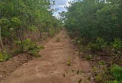 Fazenda Dupla Aptidão 212 Alqueires em Colina do Sul - GO