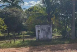 Fazenda São Raimundo / Gleba B – 946 Hectares em Timbiras, MA – Oportunidade de Leilão Judicial