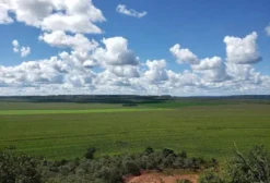 Fazenda de Grãos com 8.400 Hectares no Sul do Maranhão – Balsas/MA