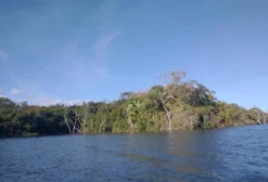 Fazenda Irmãos Monteiro – 150 ha em Carolina/MA com Potencial Agrícola, Pecuário e Turístico