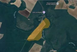 Fazenda Teles Pires – 205 ha à venda em Santa Rita do Trivelato/MT