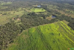 Fazenda Pecuária de 515 Hectares à Venda em Nossa Senhora do Livramento - MT