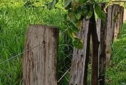 Terreno Rural com Rio e Acesso pela BR-316 em Santa Maria do Pará - PA