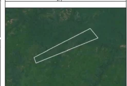 Propriedade Rural de 528 Hectares para Compensação Ambiental em Almeirim – PA