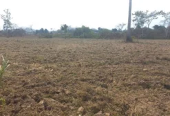 Lote Urbano de 36.876 m² em Novo Progresso – PA Ideal para Loteamento, Indústria ou Pequena Criação