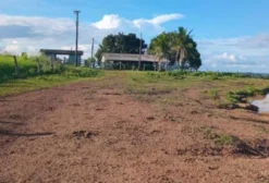 Fazenda de 770 Hectares para Pecuária em Altamira - PA