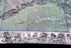 Terreno Rural com Mogno Africano Plantado – 30 ha em Santa Isabel do Pará