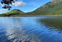 Fazenda Logradouro – 500 hectares em São José do Bonfim (PB) com Recursos Hídricos e Potencial Eólico